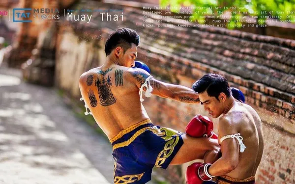 Muay Thai & Fitness - View 3