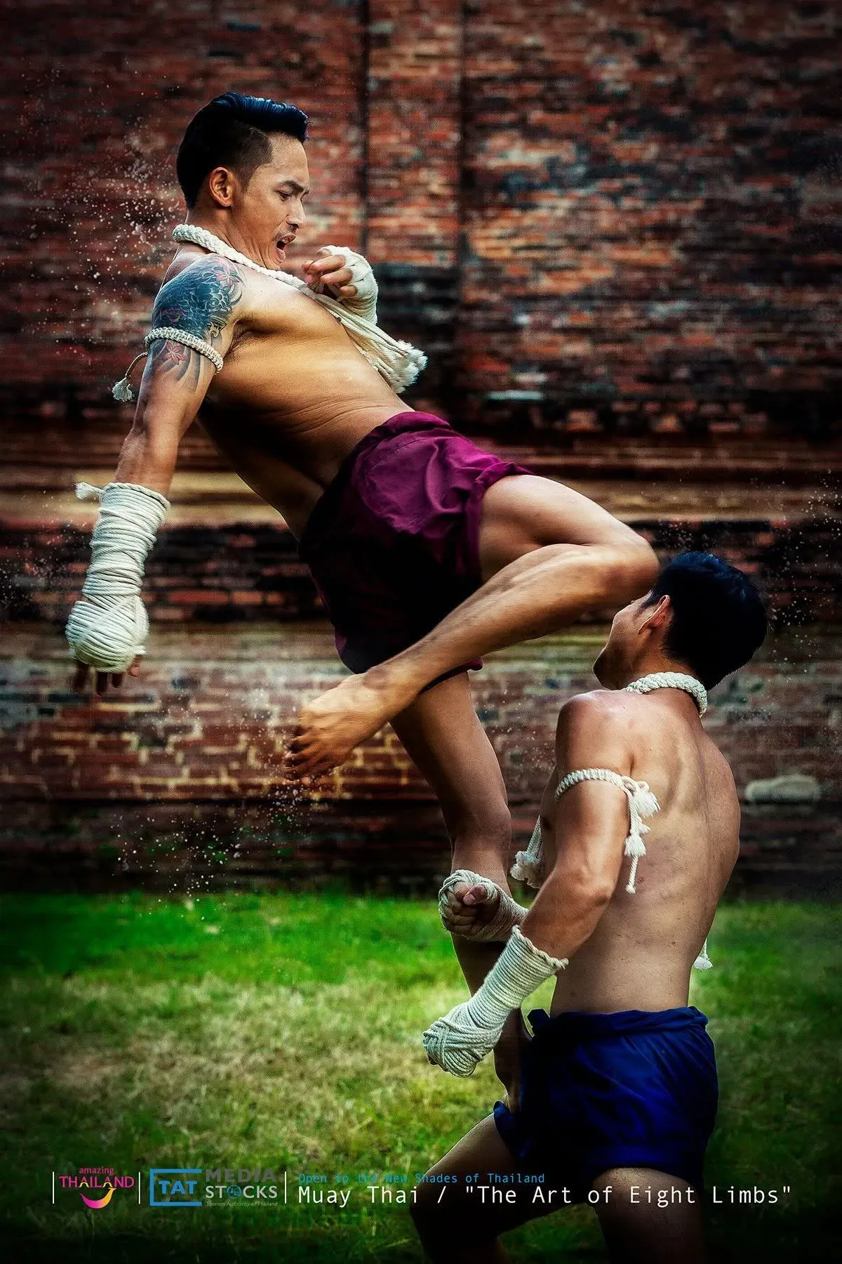 Muay Thai & Fitness (Beginner Friendly)