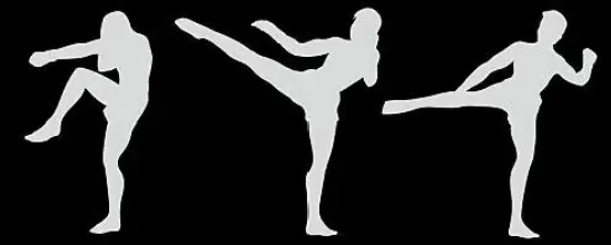Muay Thai fighter silhouette background