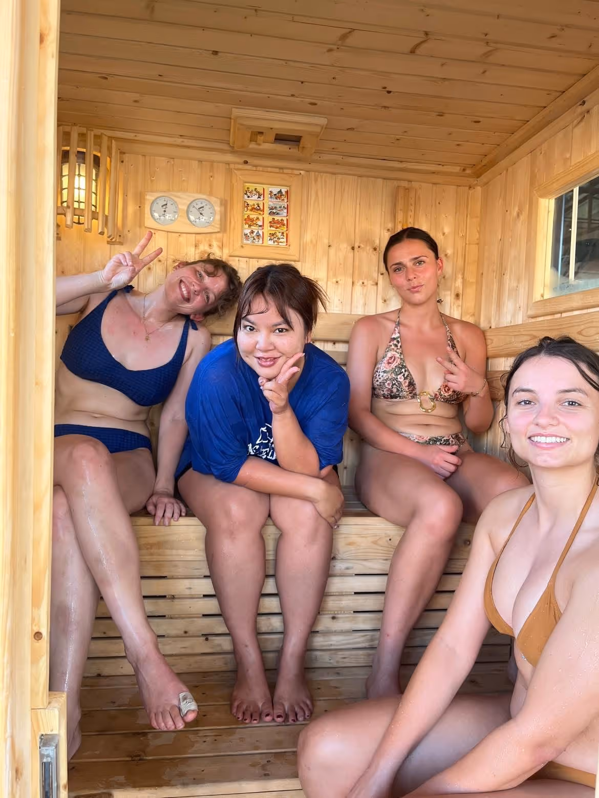 Sauna & Ice Bath facilities overview