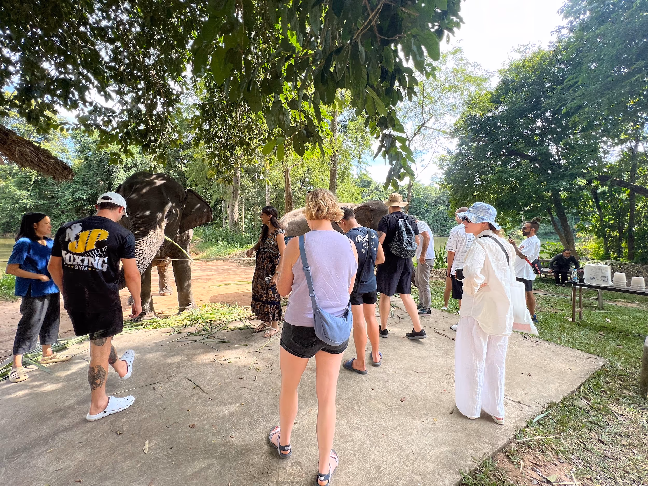 VIP Muay Thai & Wellness Package | JP Boxing Gym Thailand